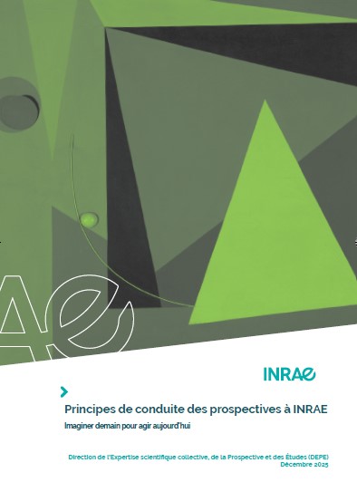 Guide de conduite DEPE Prospective_Couverture FR.jpg