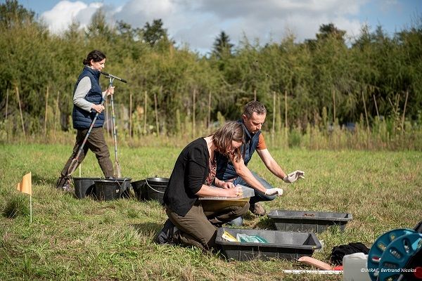 Preparation of bagging soil samples, by agents of the INFOSOL unit - Orléans